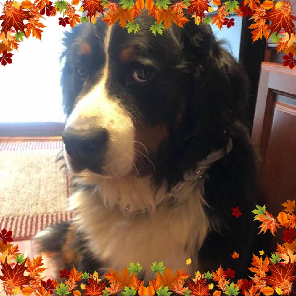 Meet your Posher, Jess